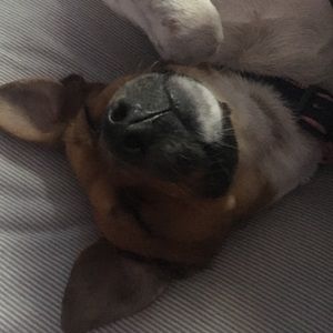 Meet your Posher, Dannette